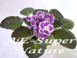 АЕ-Super Nature