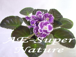 -Super Nature