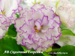 АВ-Сказочные Георгины