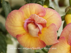 'Abendrot'