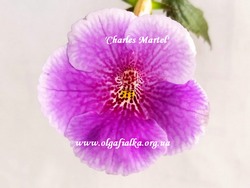 'Charles Martel'