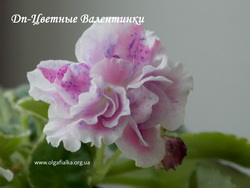 Dn-Кольорові Валентинки