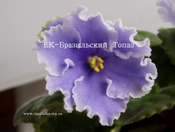 ЕК-Бразильский Топаз