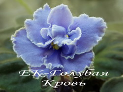 ЕК-Голубая Кровь