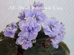 ЛЕ-Эльфийский Сад
