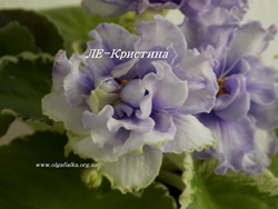 ЛЕ-Кристина