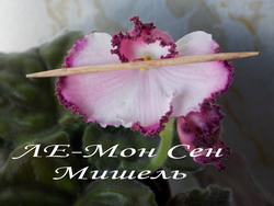 ЛЕ-Мон Сен Мишель