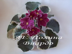 ЛЕ-Полина Виардо