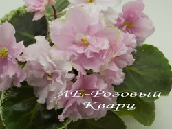 ЛЕ-Розовый Кварц