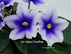 Leo-Зірка Улугбека