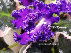 НД-Квазар