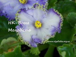 ��-³��� ��������