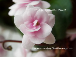Rob's Vanilla Trail