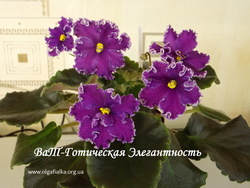 ВаТ-Готическая Элегантность