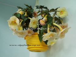 'Yellow English Rose'